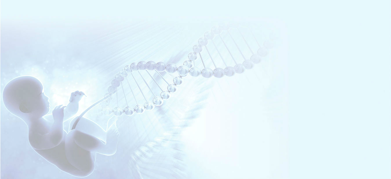 Third International Conference on Birth Defects &