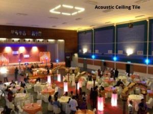 Acoustic Ceiling Tile