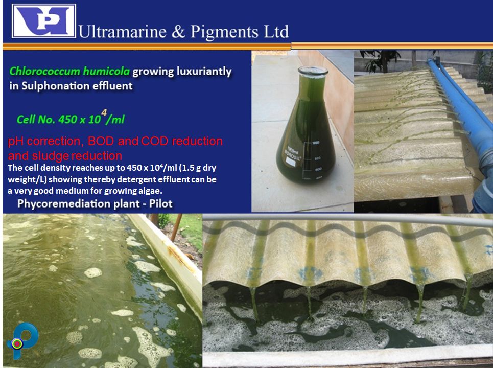 Ultramarine and Pigments Ltd Ranipet