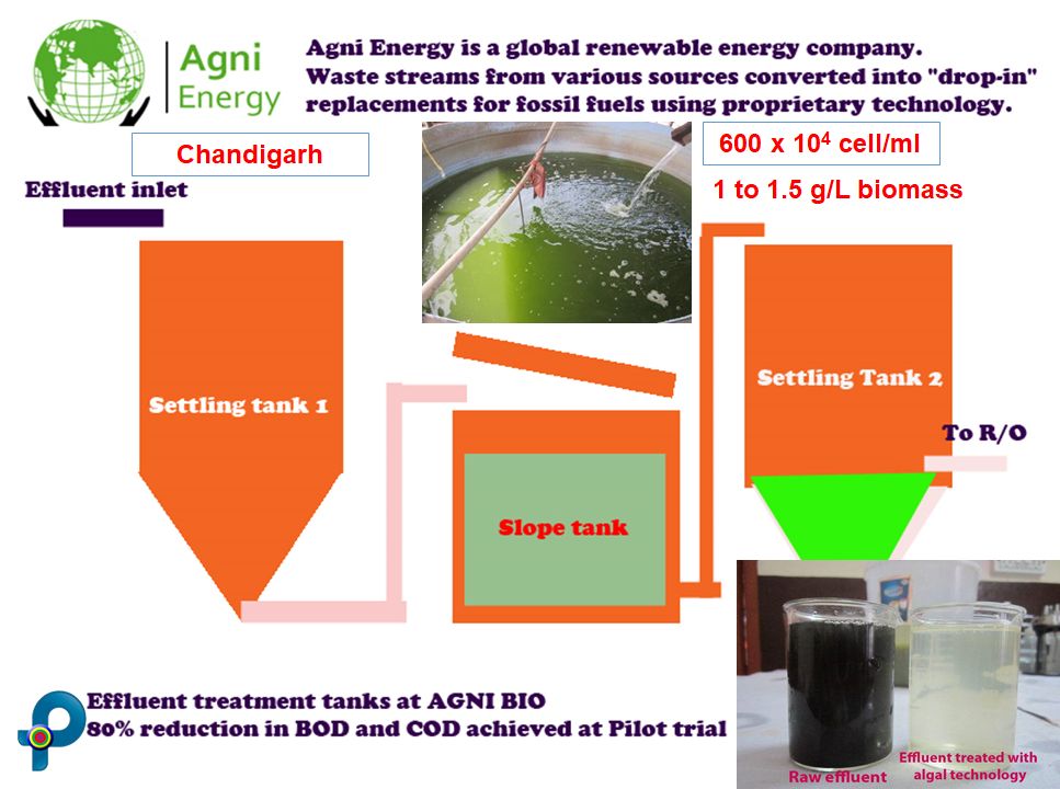 AGNI BIO -Bioenergy - Pellet industry at Chandigarh