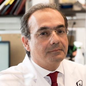 Dr Ali Gharavi