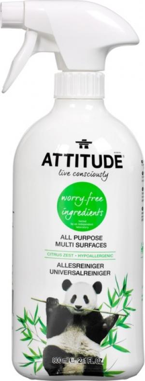 Allesreiniger spray