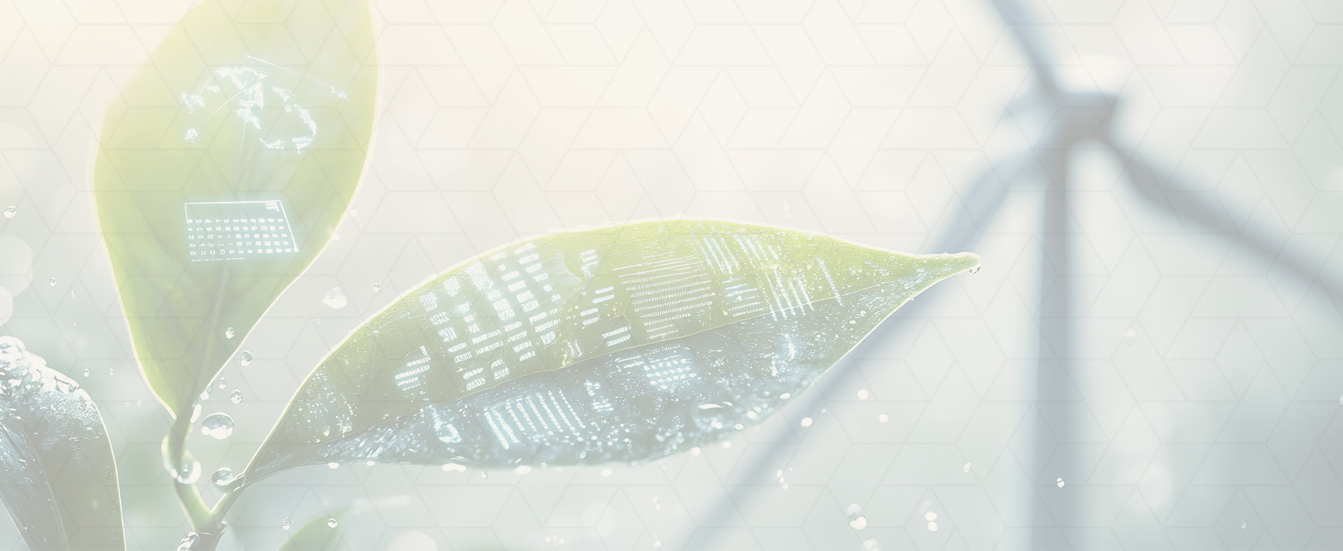 Sustainability & Green Tech
