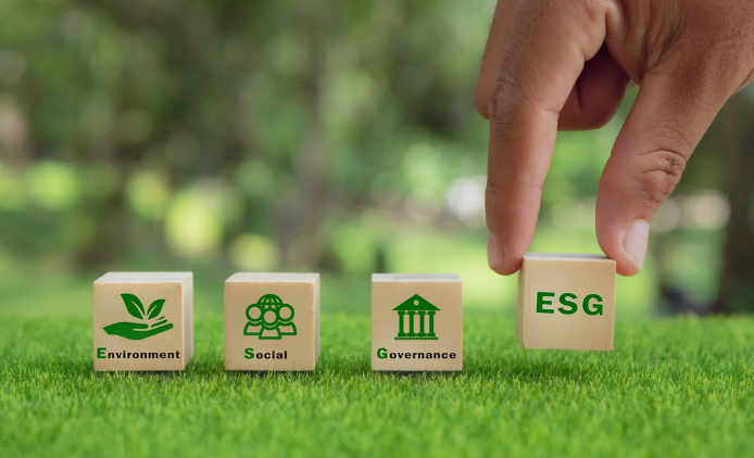 Sustainability business