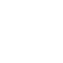 Pre-Session Review + Simple Report (2.5 Hours)