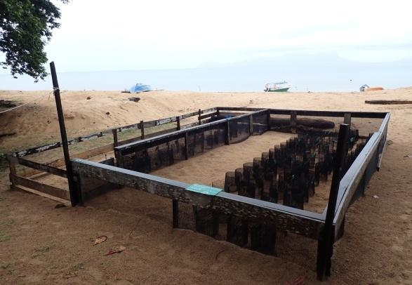 DOLPHIN WATCHING AND SNORKELLING