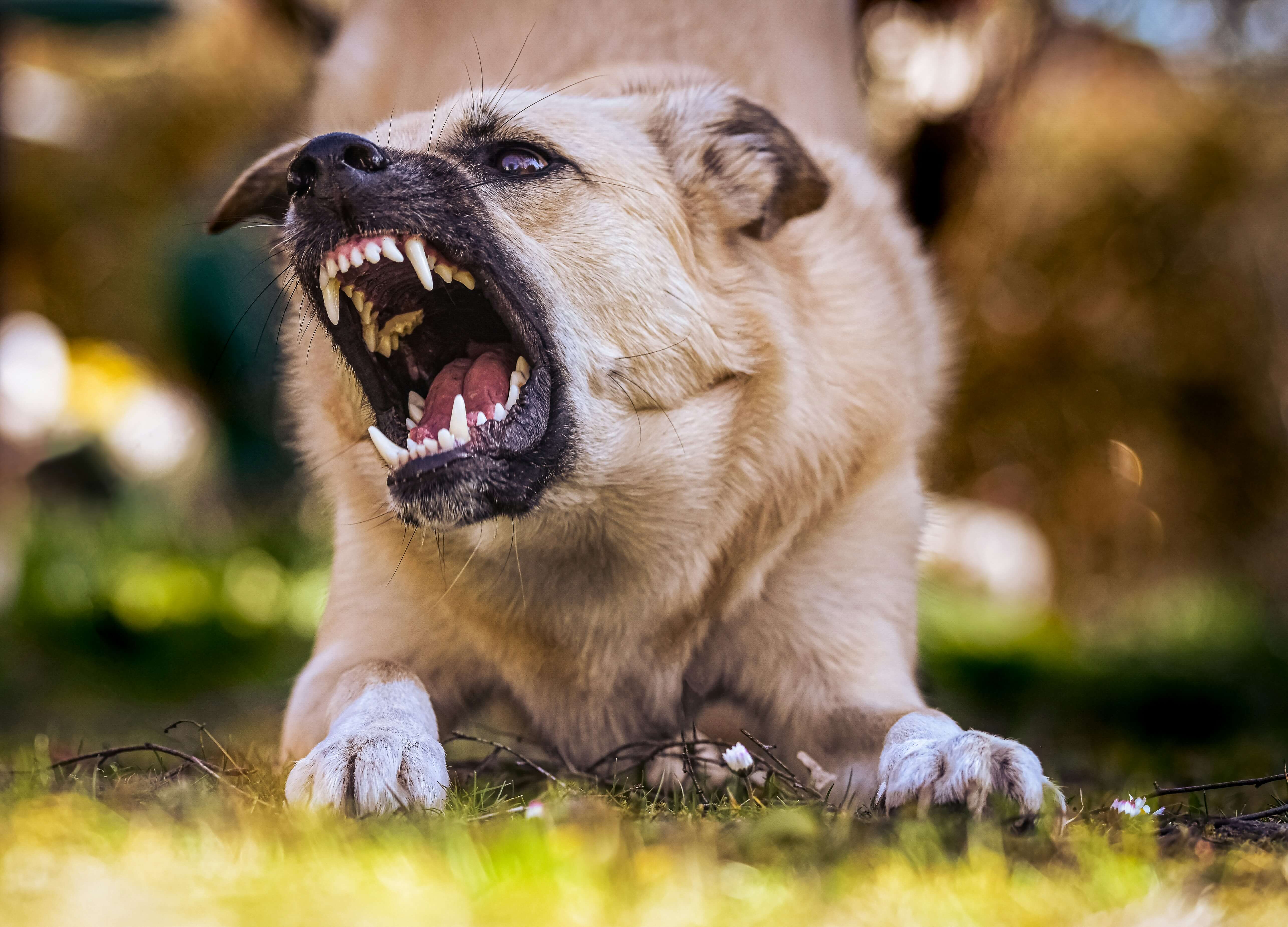 simon-moog-_IvTz18z_J8-unsplash_282541