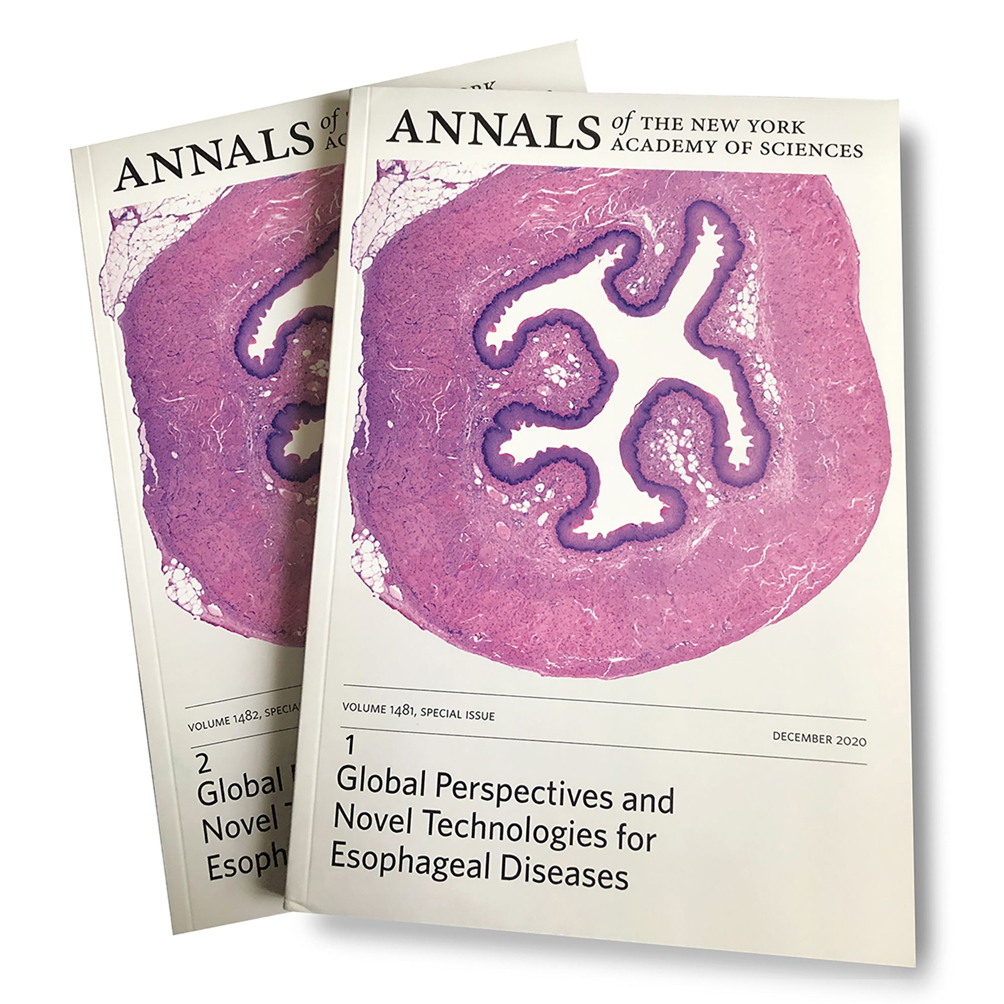 2020: Global Perspectives and Novel Technologies for Esophageal Diseases