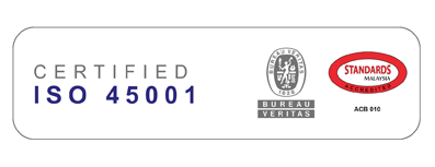 BVCER_withDSM-ISO 45001