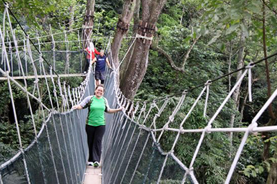 RAINFOREST TREK TOUR