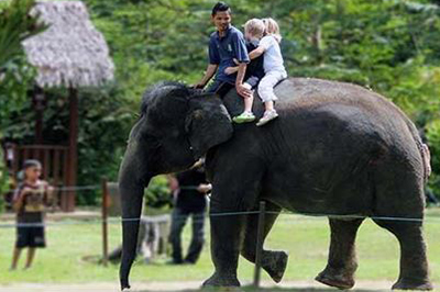 ABORIGINE SETTLEMENT AND ELEPHANT SANCTUARY