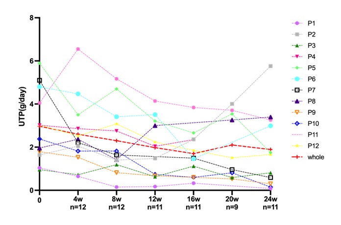 Figure 1. Changes in Proteinuria Levels Before and After Telitacicept Treatment in the 12 Patients with Primary IgA Nephropathy and Severely Impaired Renal Function