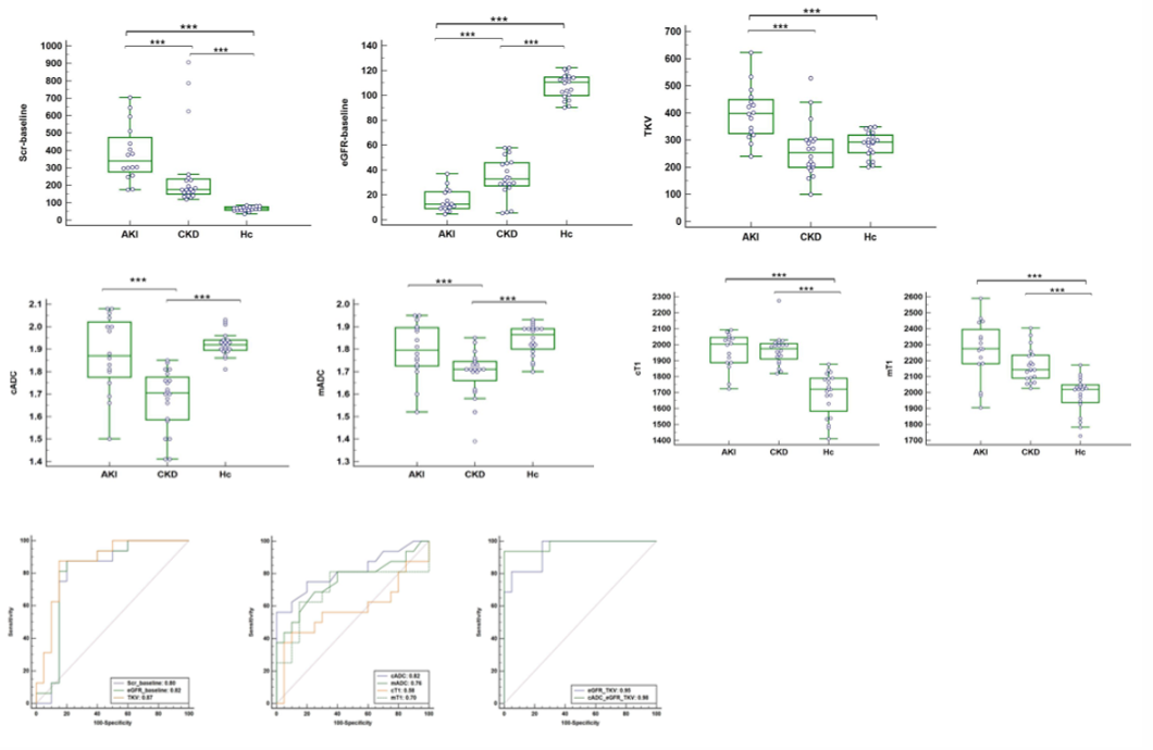 Pairwise comparisons among the three groups and the efficacy of MRI parameters for diagnosing AKI and CKD