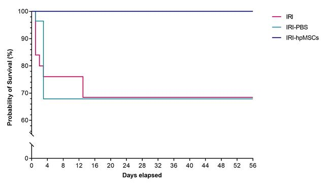 Probability of survival