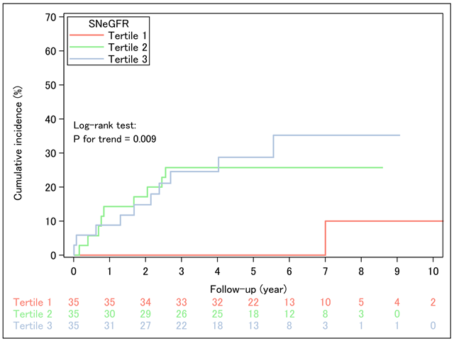 Figure 2. Cumulative incidence of Postoperative Composite Kidney Endpoint by Baseline SNeGFR Tertiles. Abbreviations: eGFR, estimated glomerular filtration rate; SNeGFR, single-nephron glomerular filtration rate.