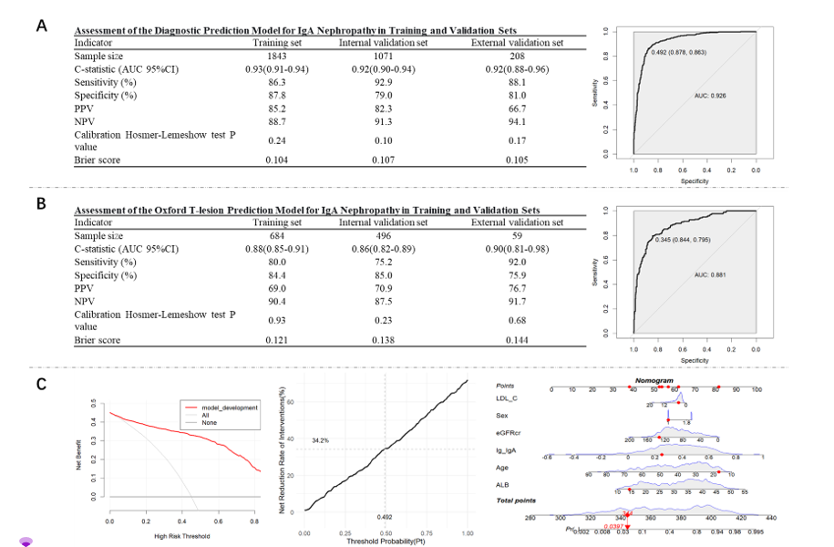 Risk prediction model for IgA nephropathy