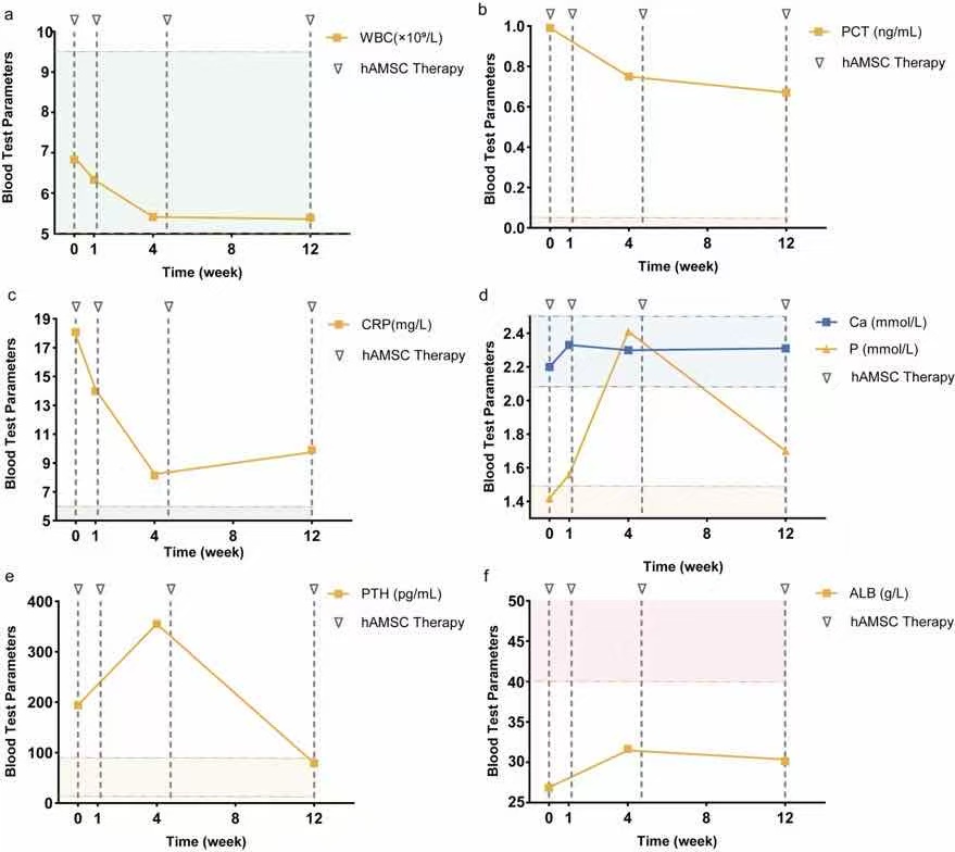 Fig 2. Dynamic hematological changes before and after hAMSC treatment