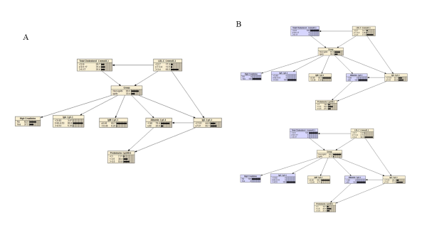 Figure 1 Bayesian Network Model for IgAN Diagnosis AND Probability Inference of IgAN through Bayesian Model