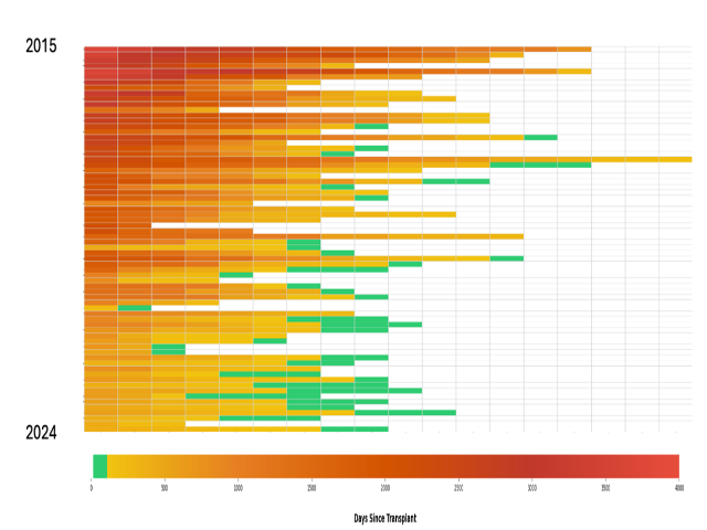 Heatmap showing the testing duration of each D-R- patient