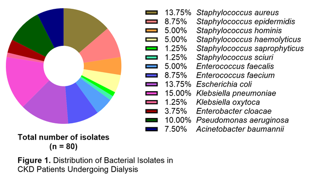 Fig 1. Distribution of Bacterial Isolates in CKD Patients undergoing Dialysis