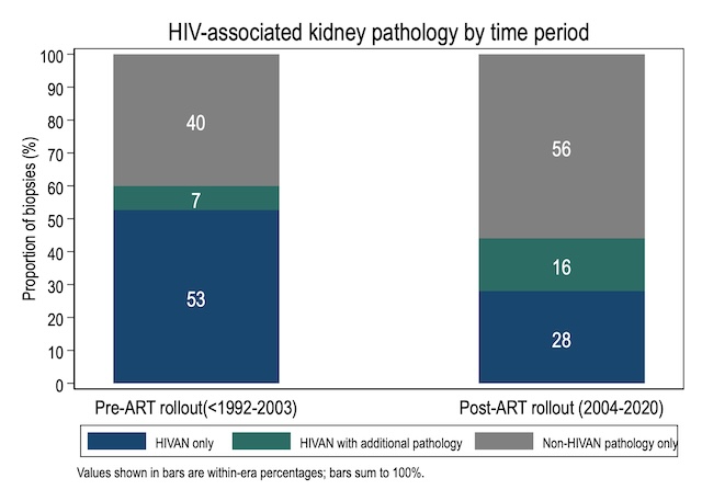 Fig1 stacked bar chart _ hiv associated kidney pathology by time period