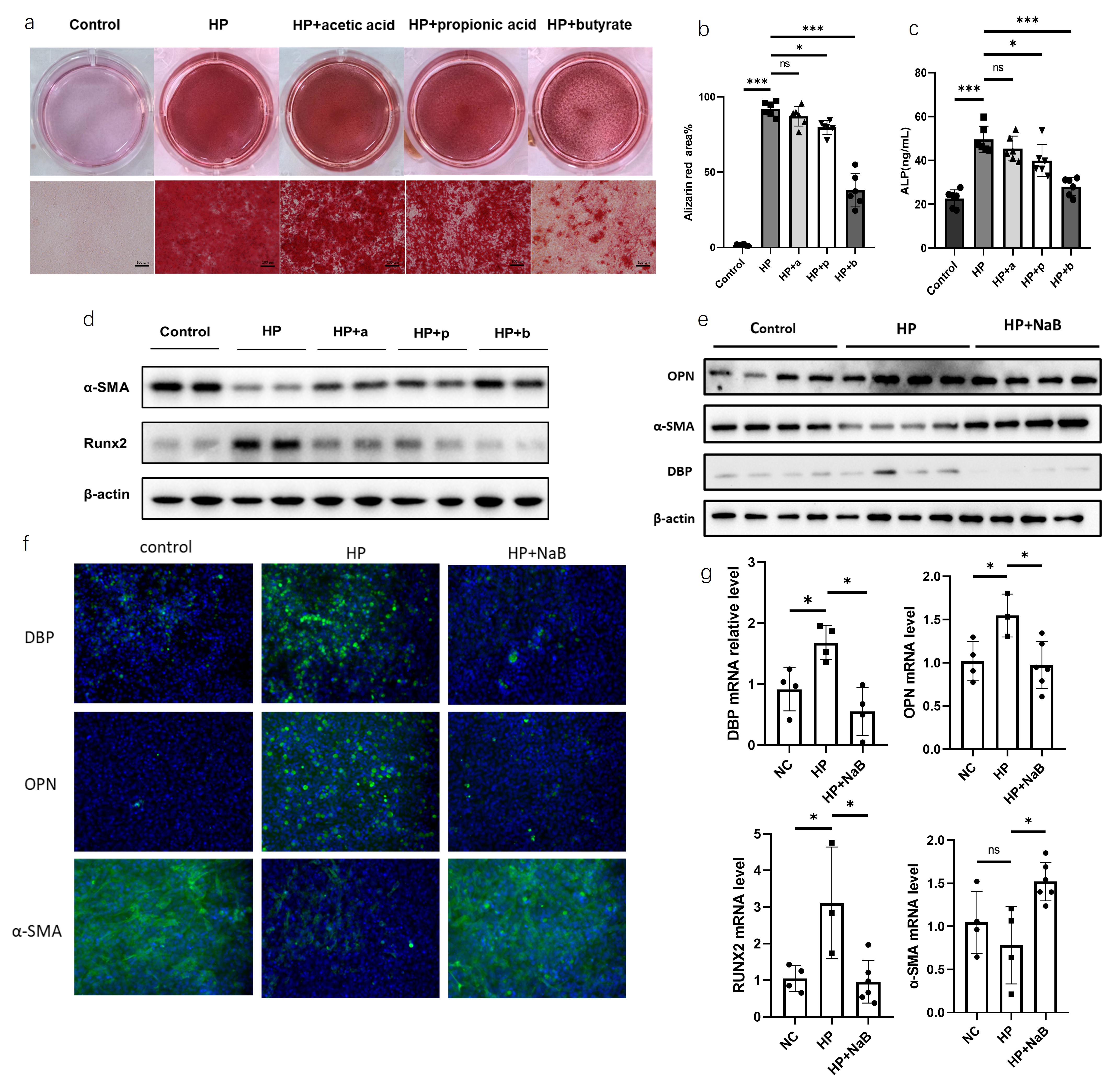 Figure4