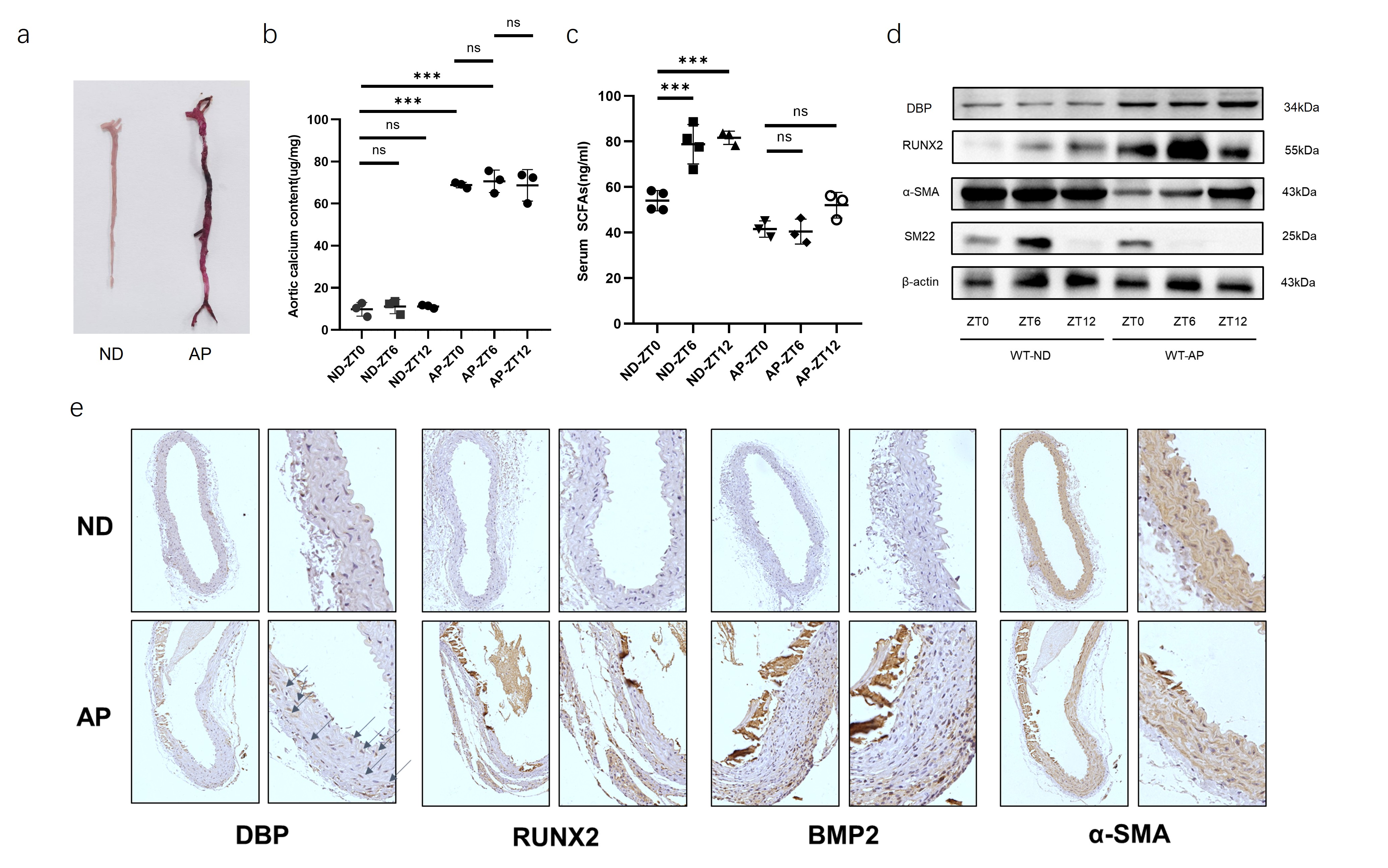 Figure1