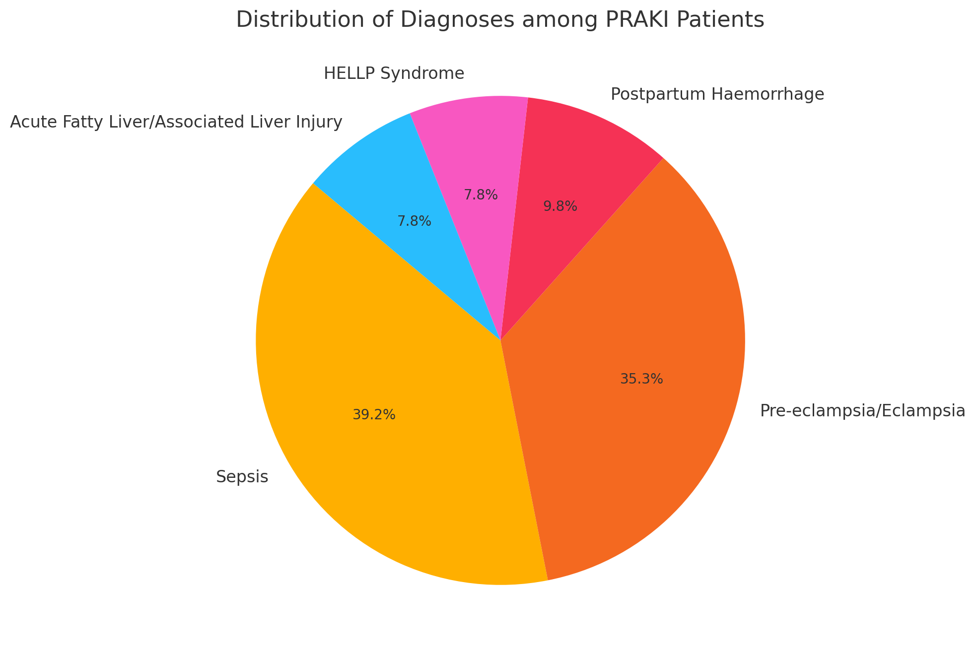 Figure 1 : Main causes of PRAKI patients