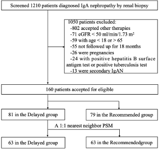 Figure 1: Flow diagram for inclusion of participants. PSM, propensity score match.