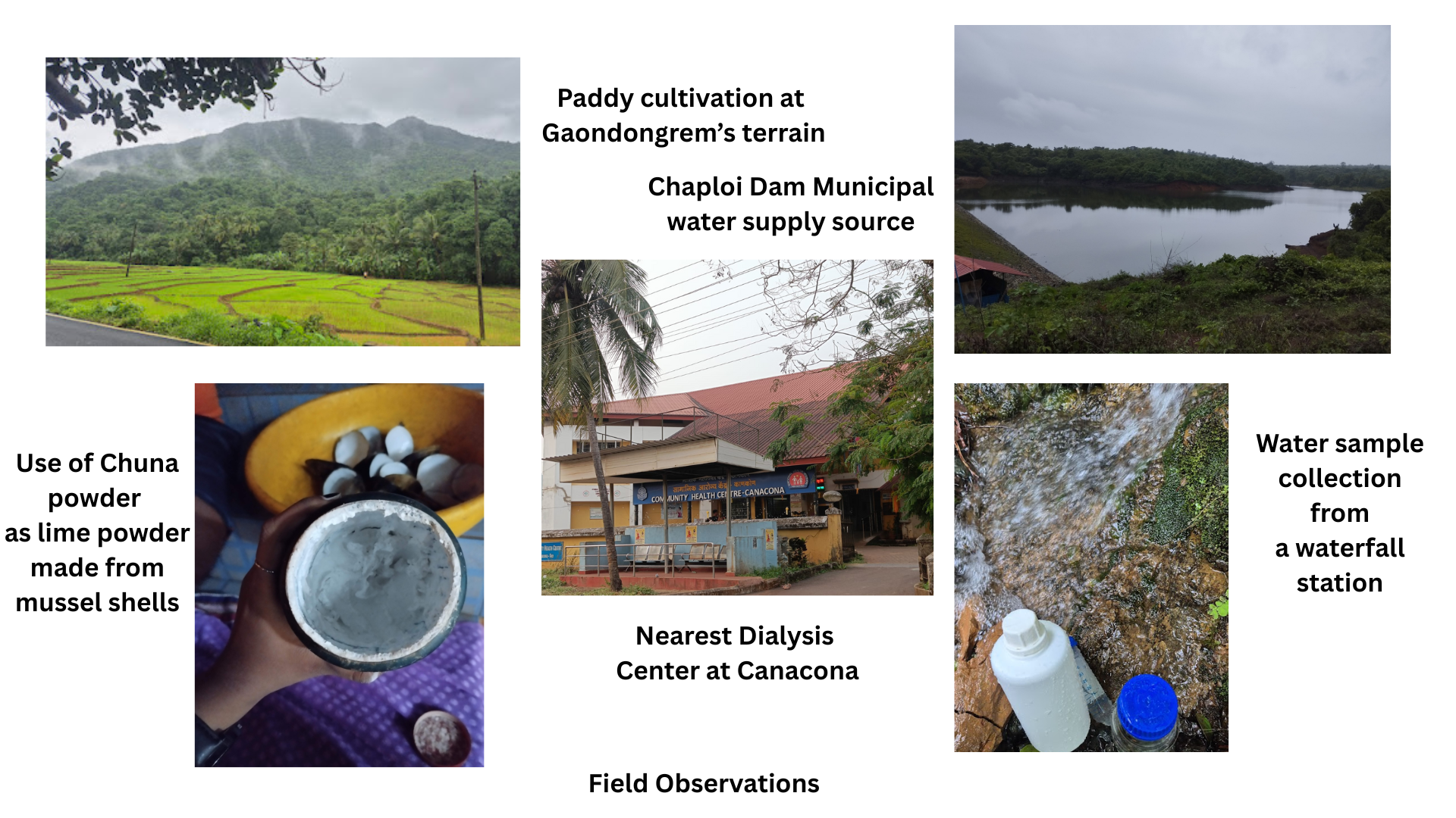 Field observations documented for the study at Gaondongrem