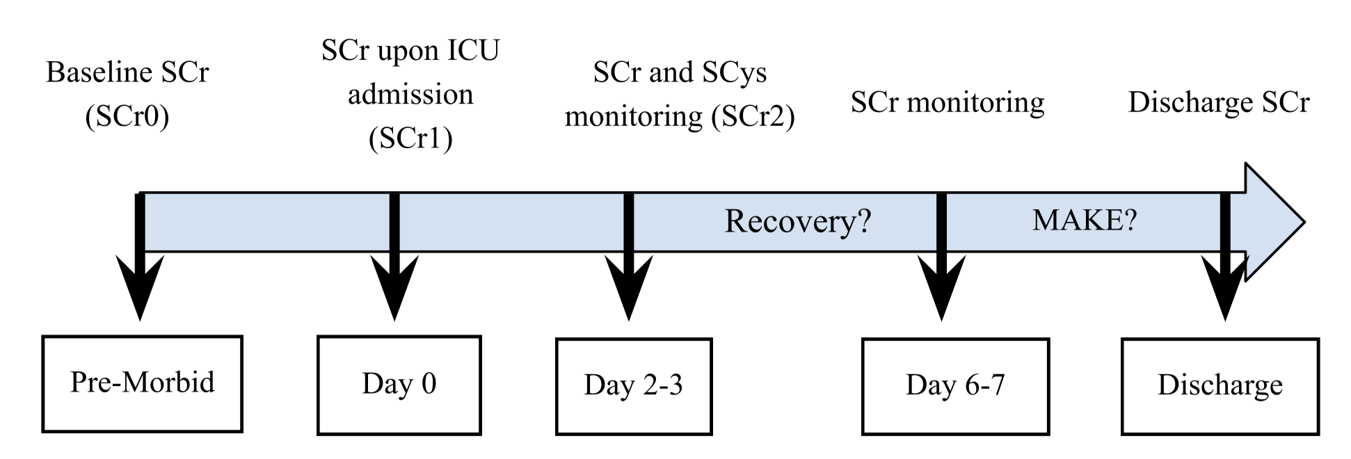 Figure 1. Study Protocol