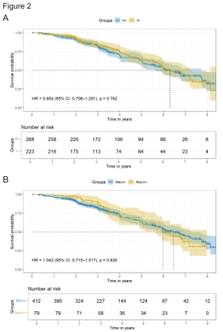 Figure 2. Kaplan-Meier analysis of the primary composite outcome according to different hematuria remission groups in all included participants with IgAN. (A) Hematuria non-remission (H+) and hematuria remission (H-). (B) History of macrohematuria (Macro+) and history of no macrohematuria (Macro-).