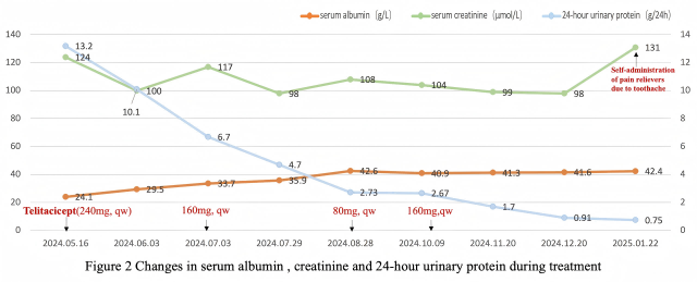 Figure 2 Changes in serum albumin, creatinine and 24-hour urinary protein during treatment.