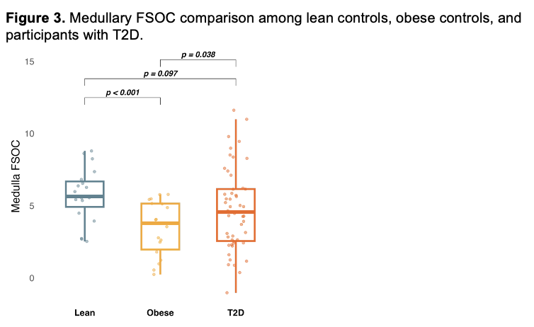 Medullary FSOC comparison among lean controls, obese controls, and participants with T2D.