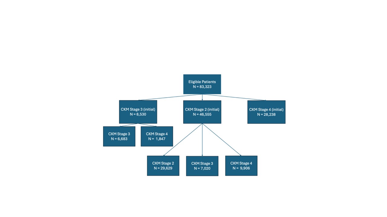 Fig. 1 Distribution of CKM stages among patients with CKD