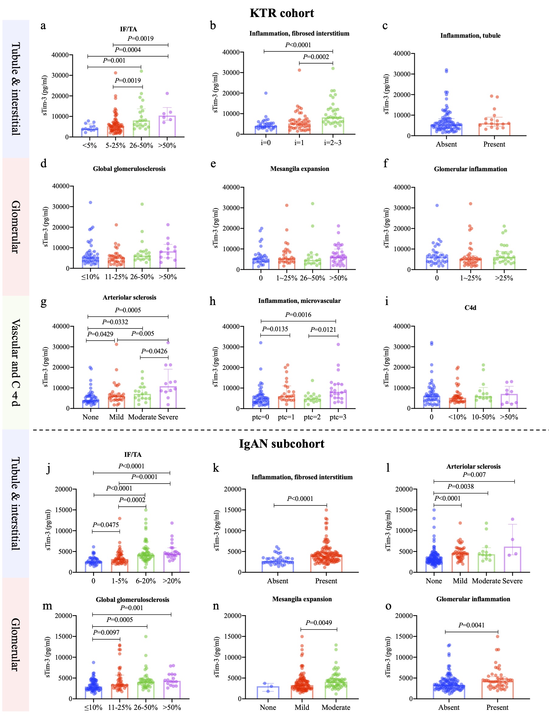 Association between plasma sTim-3 and kidney histological lesions