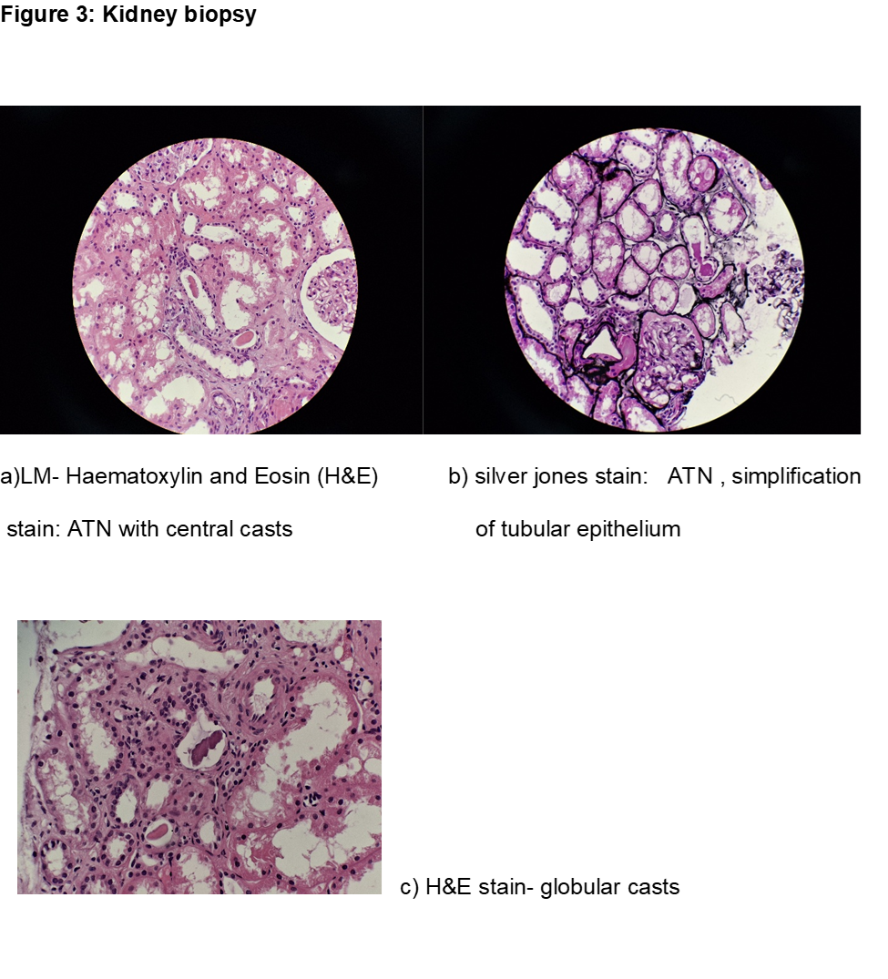 histology