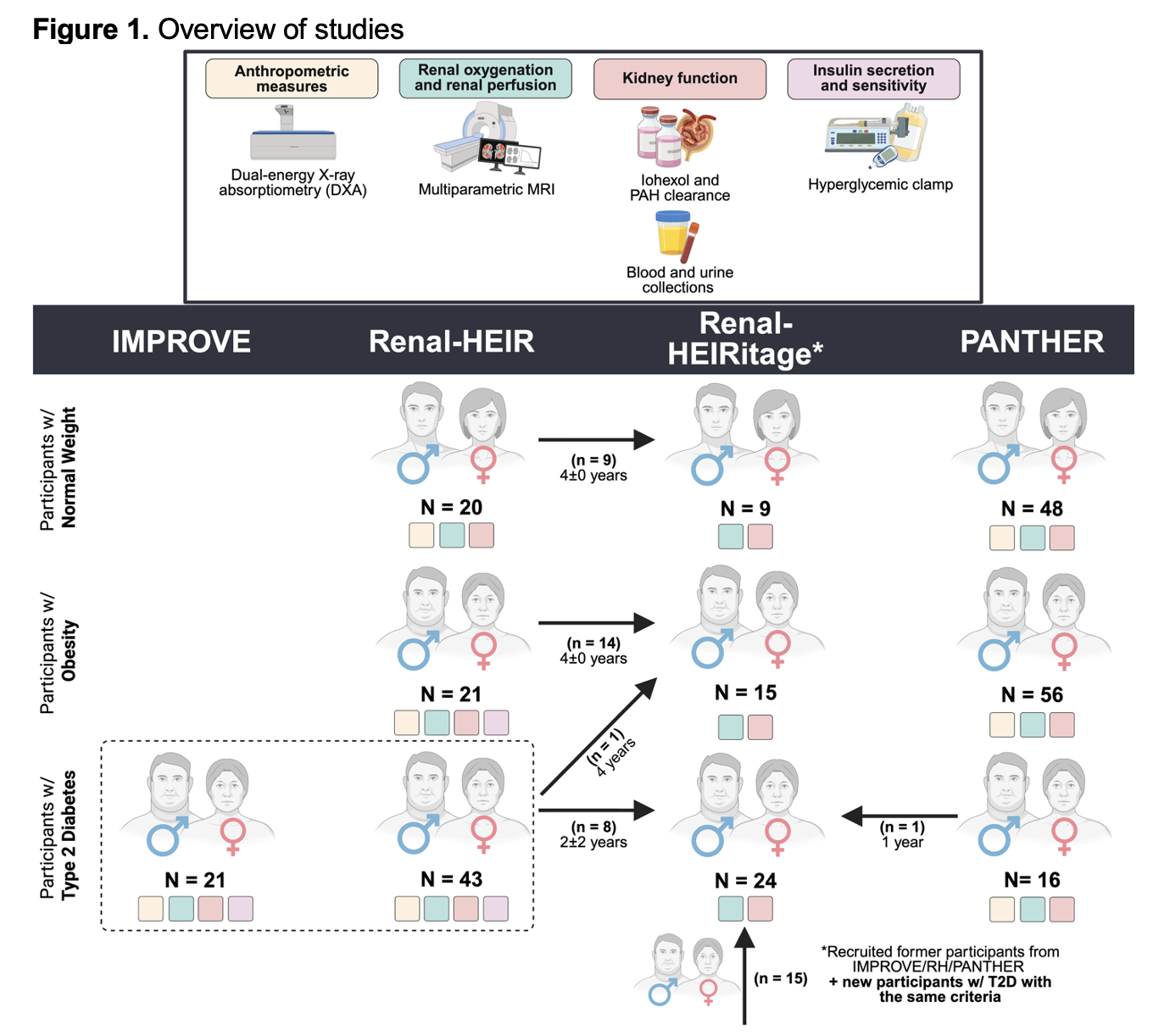 Overview of studies