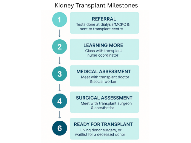 Kidney Transplant Milestones