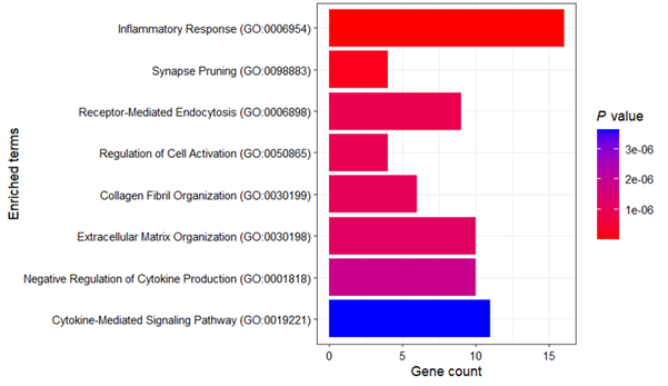 Figure 2: Upregulated gene Biological Processes for DCGL (enrichR analysis)