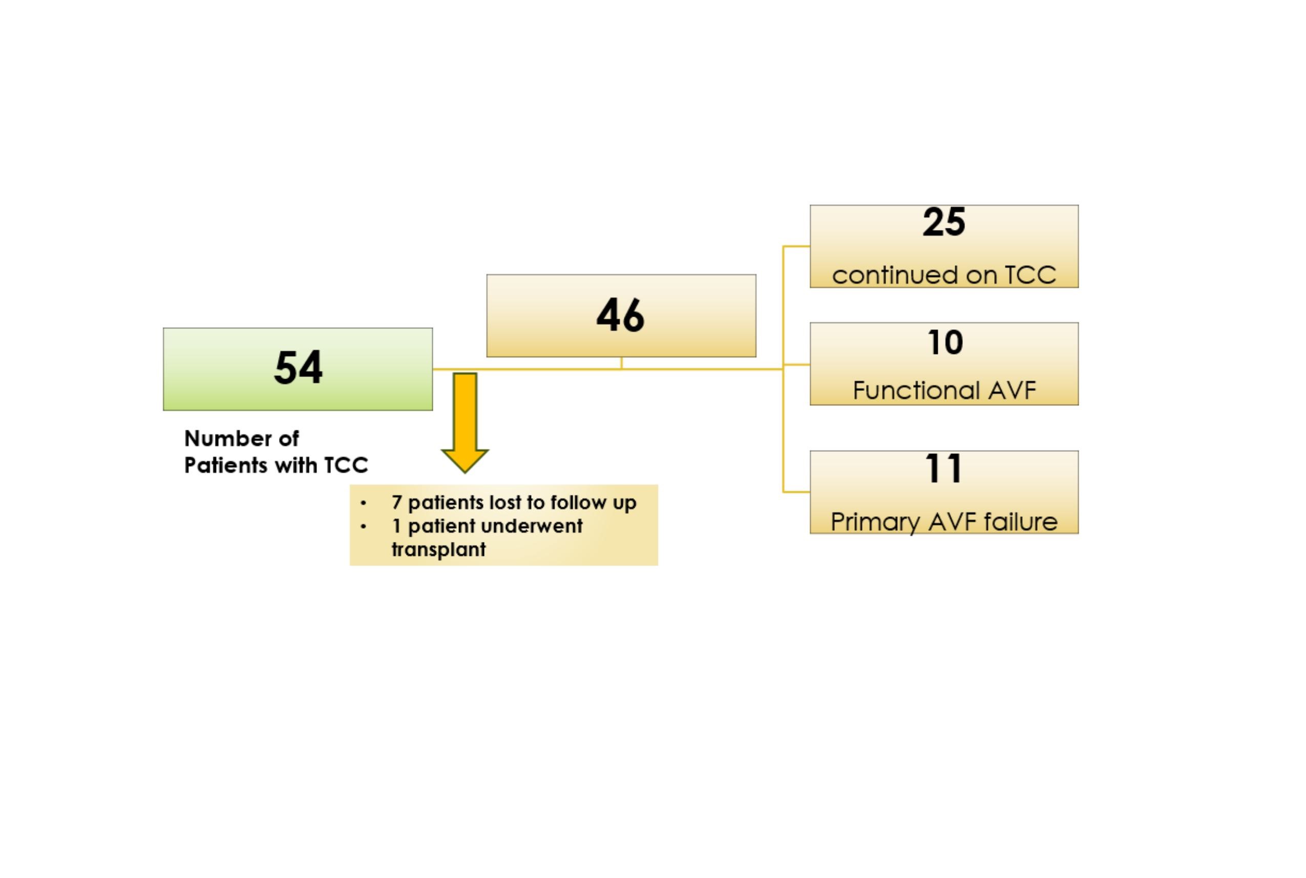 image depicting the sample size and access among the study population