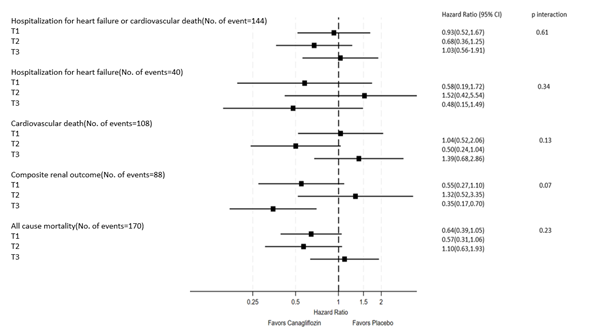 Relative effect of canagliflozin on clinical outcome by HOMA-IR tertile