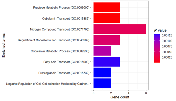 Figure 3: Downregulated gene Biological Processes for DCGL (enrichR analysis)