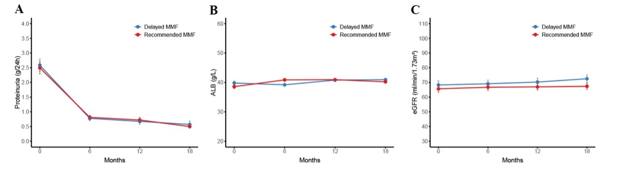 Figure 4. Changes in clinical indicators during follow-up in the optimized MMF group and recommended group. A 24-hour proteinuria; B Serum albuminuria (ALB); C: estimated glomerular filtration rate (eGFR).