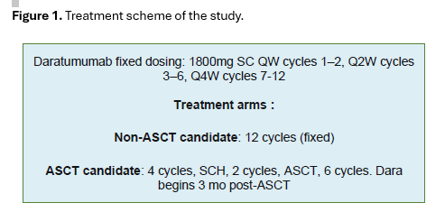 Figure 1 Treatment scheme of the study.