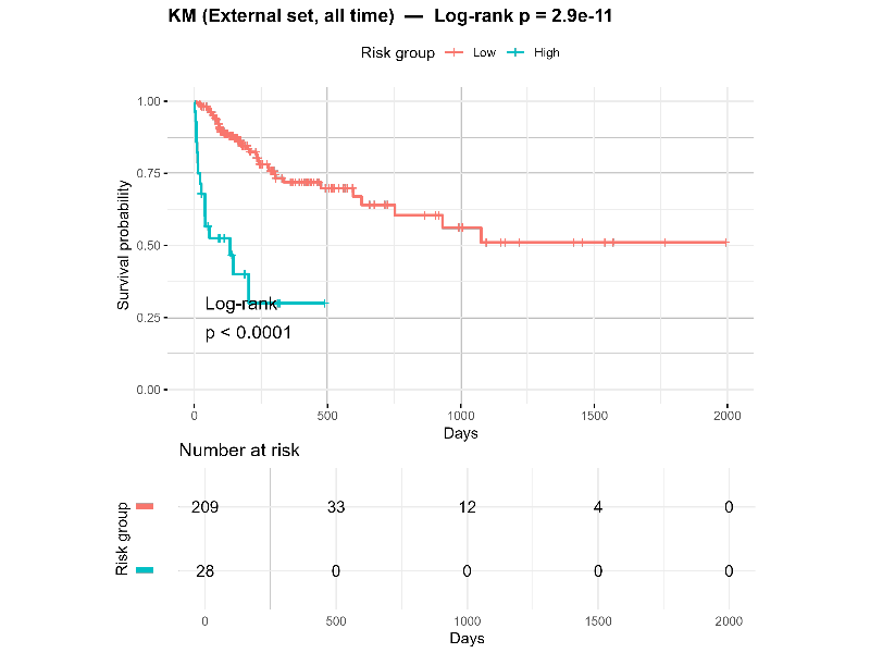 Kaplan-Meier curve by risk groups
