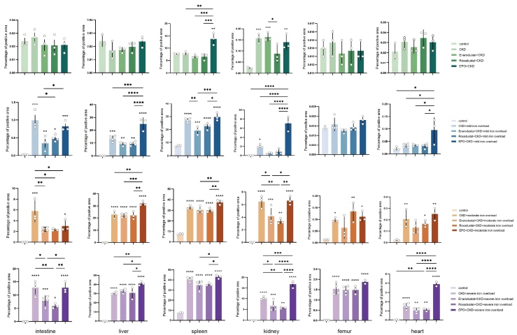 Figure 1 Quantitative Analysis of Iron Deposition in Various Organs