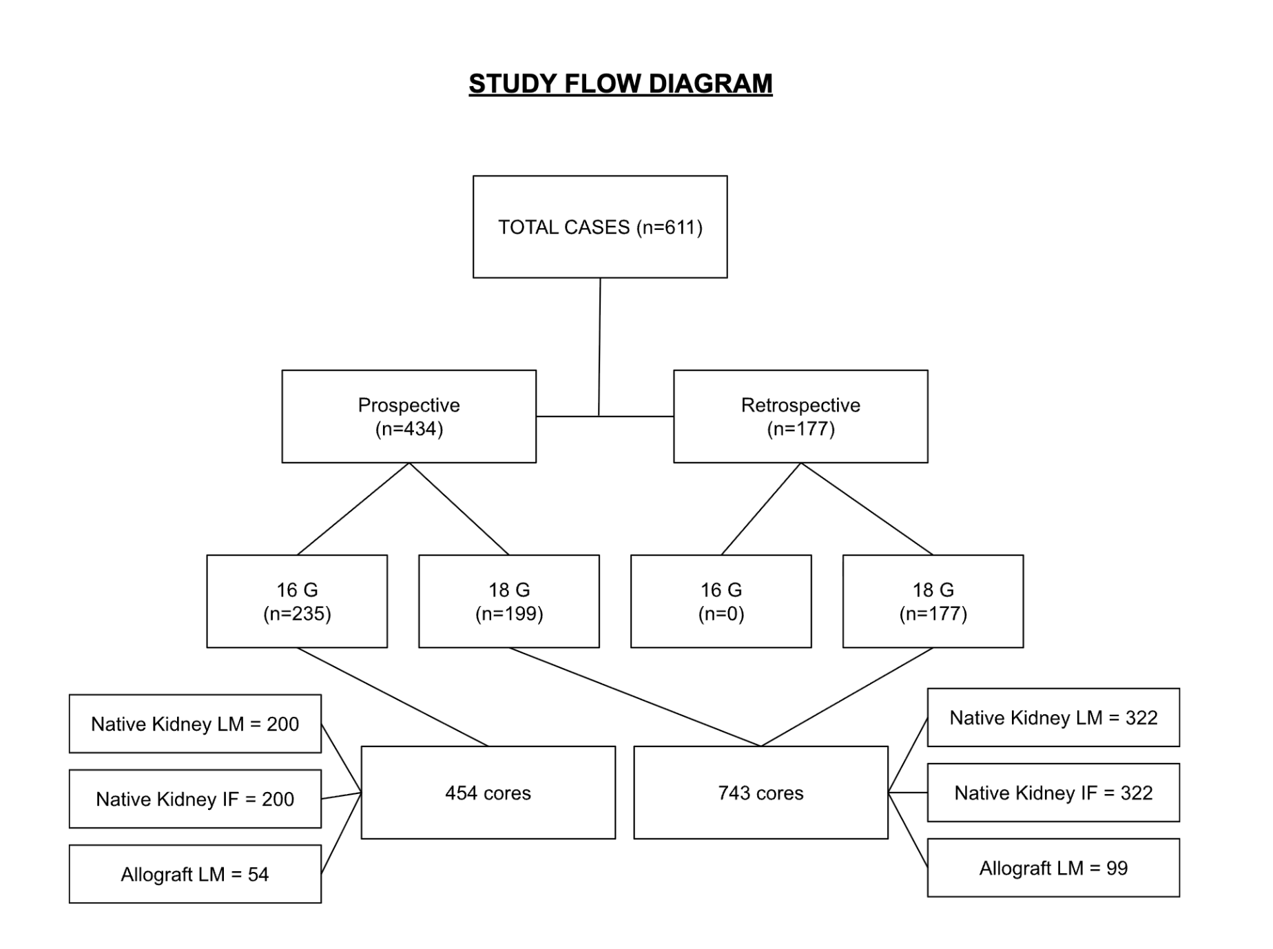 study flow diagram and patient distribution