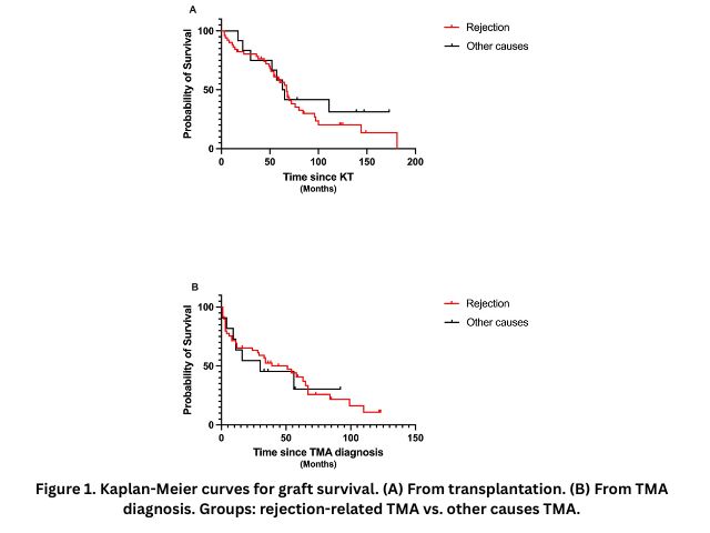 Kaplan-Meier curves for graft survival