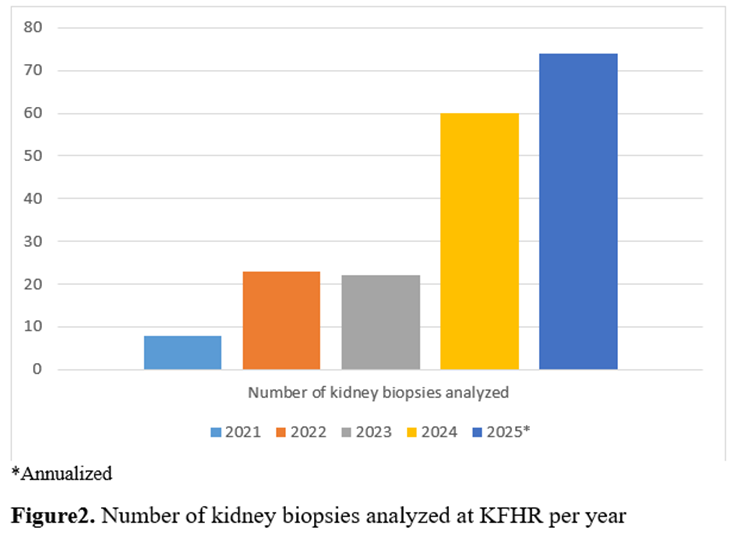 figure 2. number of biopsies per year